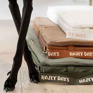 HazeyDays 02