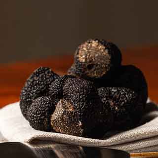 TruffleHill 9
